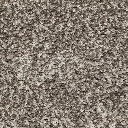 Ivory & Grey Micro Shaggy Rug – Luxurious Hand-Tufted Microfiber Carpet – Soft Feel with Anti-Skid Rubber Backing